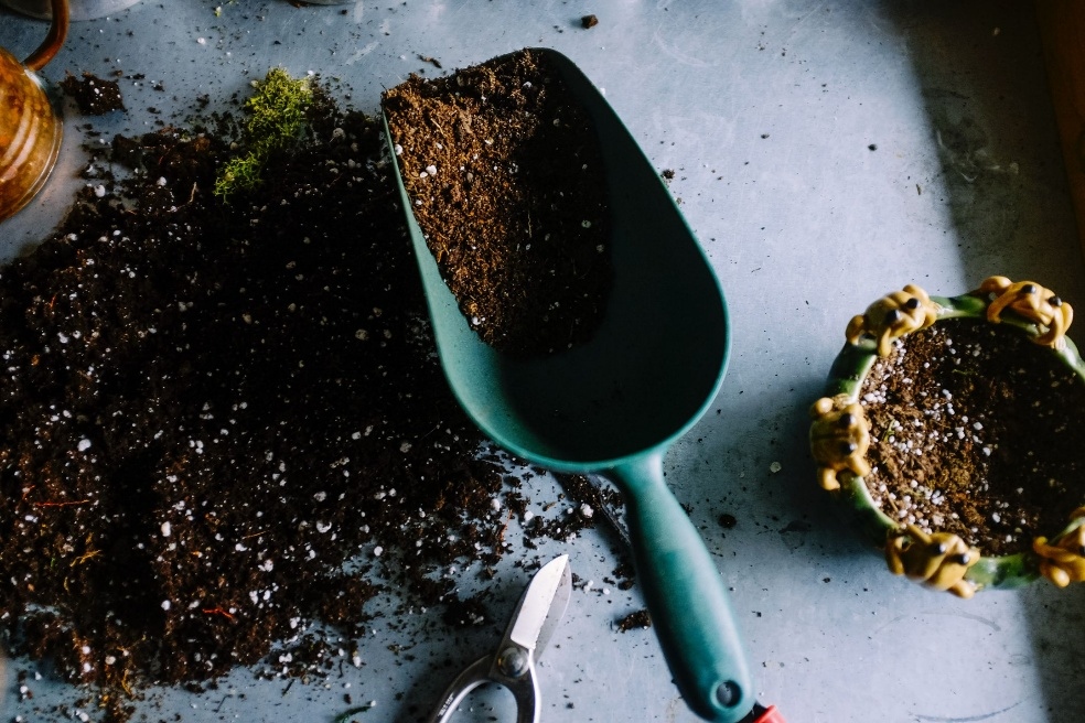 Electric Composting vs Traditional Composting A Comparative Analysis