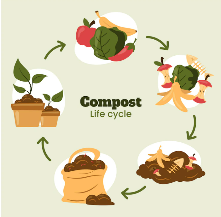 Do Compost Heaps Attract Rats and How to Stop It